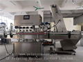 Automatic Frequency Conversion High Speed Capping Machine