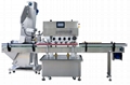 Automatic Frequency Conversion High Speed Capping Machine