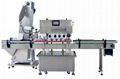 Automatic Frequency Conversion High Speed Capping Machine