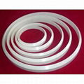 Ceramic Ring for Sealed Pad Printer