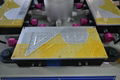 Stationery Ruler High Speed Screen Printing Machine with Auto Baiting 4