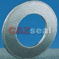 Reinforced Graphite Gasket 1