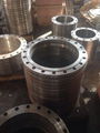 Stainless Steel Flange Weld Neck & Blind & Slip On & Socket Weld & Lap Joint 3