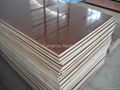 Phenolic Cotton Cloth Laminated Sheet 4