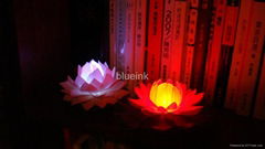 led lotus