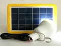 3W Solar Bulb for home