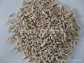 Molecular Sieve Aw-300 1