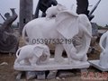 石雕大象子母象 5