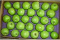 apple tray machine