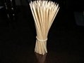 Flat Toothpick 3