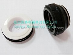 Mechanical Seal for Food Pumps