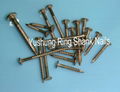 Silicon Bronze Annular Boat Nails