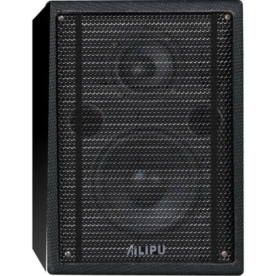 active stage speaker