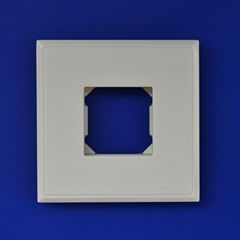 86C Series 1 gang Common Panels & Frames