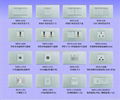 WFN series Adanved Decorating Switches  5