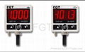 FGT20 pressure sensor 1