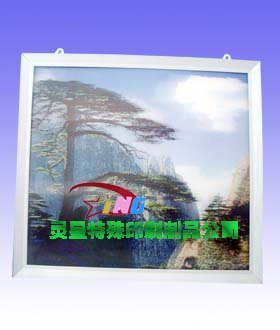 china packing print factory 3d picture/pet box/pvc bag/