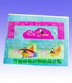 offset printing leaflet printing transparent printing 5