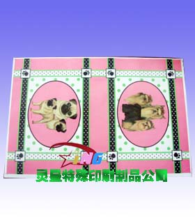 皮革特殊印刷|软硬胶印刷|布料印刷  4