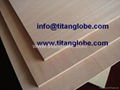 Commercial Plywood 1