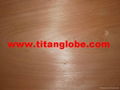 MLH Face Veneer 1