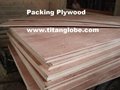 Packing Plywood