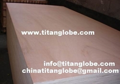 Furniture Plywood