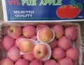 Fuji Apple  4