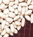 Blanched Peanut Kernels