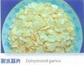 Air-Dried Garlic In Flakes