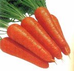 Carrot. 1