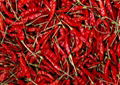 Dried Chillies