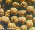 Walnuts In Shell 1