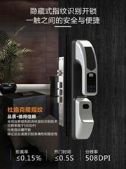 Fingerprint lock