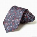 Classic Men's Neckties Woven Jacquard Neck Ties Set