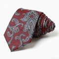 Custom Men's Micpolyester Ties ,Newly Fashion Design Business Tie