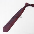 China Manufacturer Design Pattern Special Logo Tie