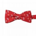 Custom Embroidered Bow Tie Female Large Bow Ties