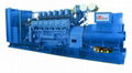 1000KVA-4500KVA CANIC DIESEL GENERATOR 