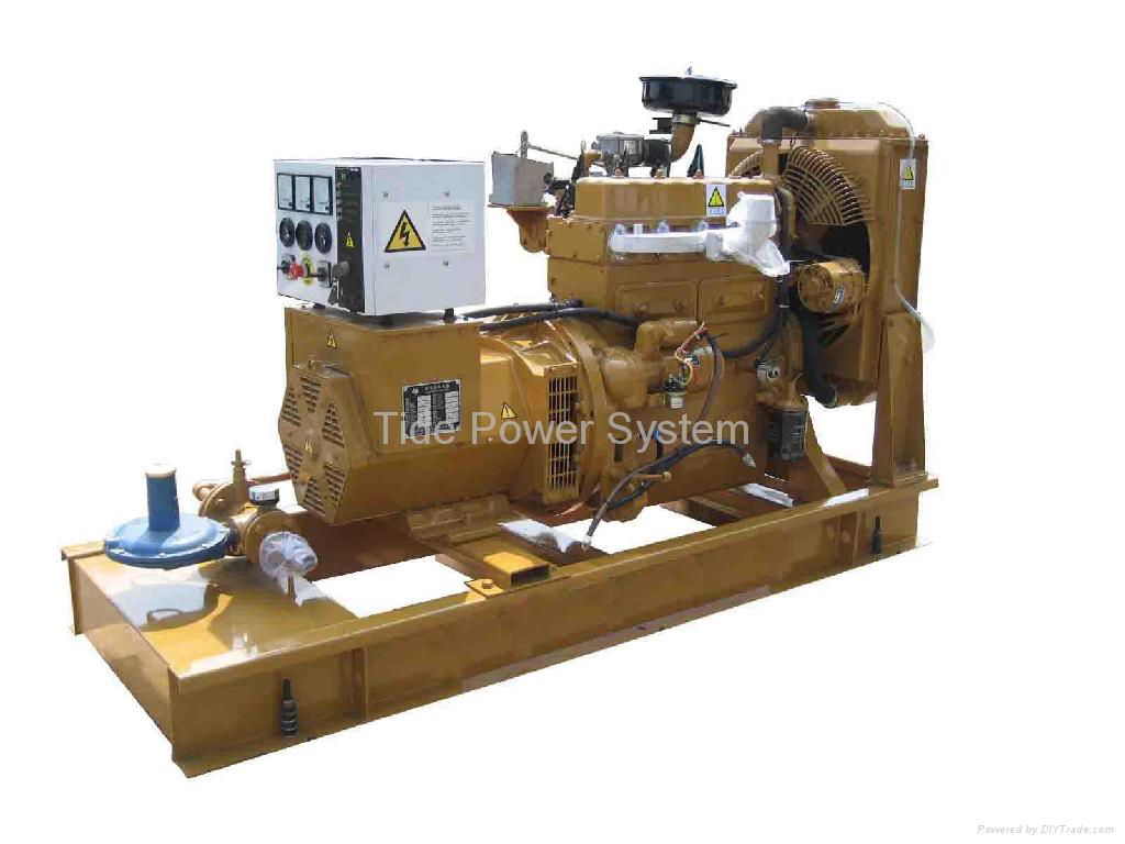 Natural Gas Generator Set (TK25G- TJ1250G) 3