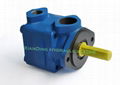 V20 series vane pumps