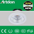 LED down Light 30W.50000hrs.Energy Saving, cold-forging heat sink 2