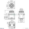 30mm Flush Mounting Buzzer