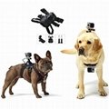  gopro fetch Dog Harness mount china factory outlet
