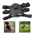  gopro fetch Dog Harness mount china factory outlet