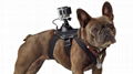  gopro fetch Dog Harness mount china factory outlet