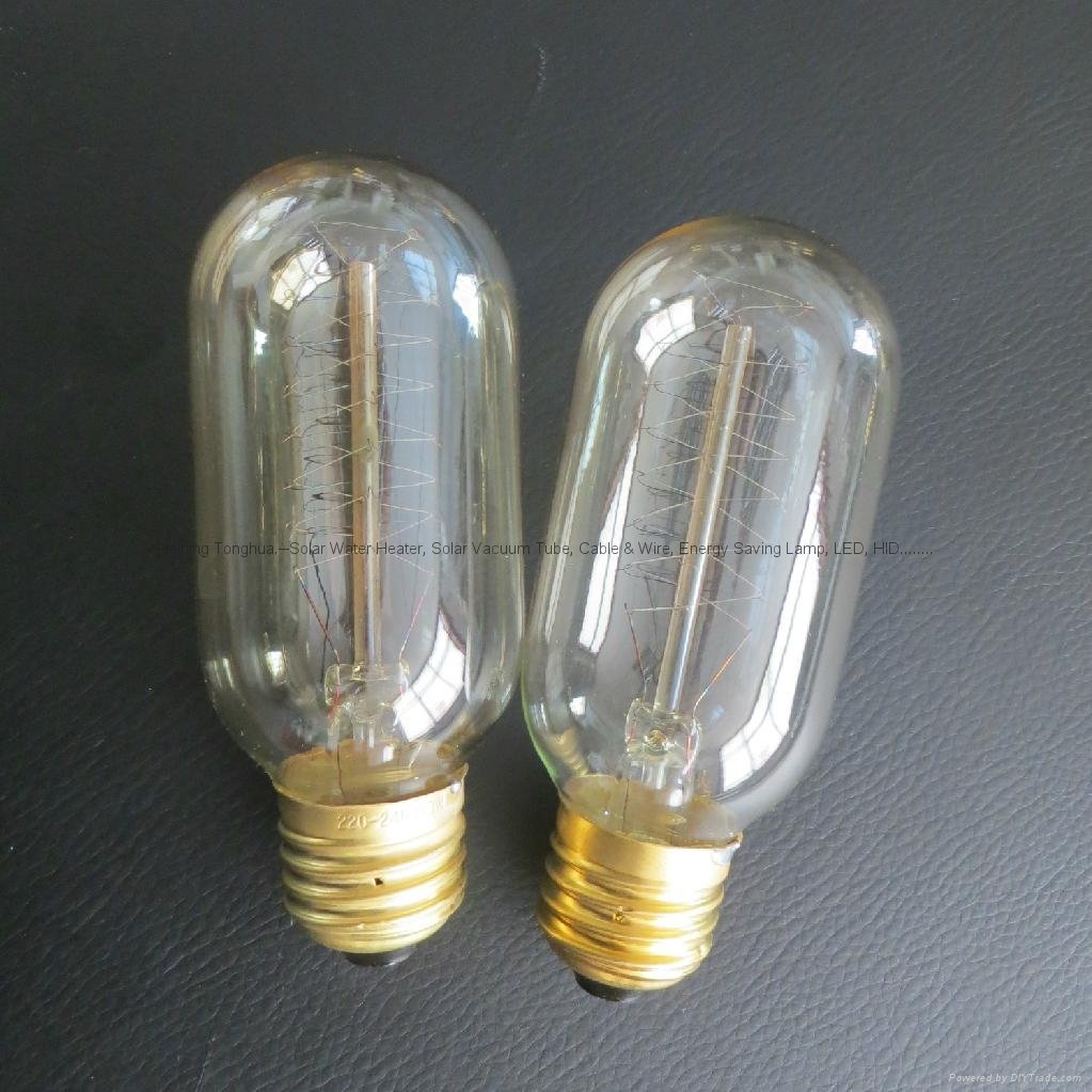 Edison Bulb T45-12 2