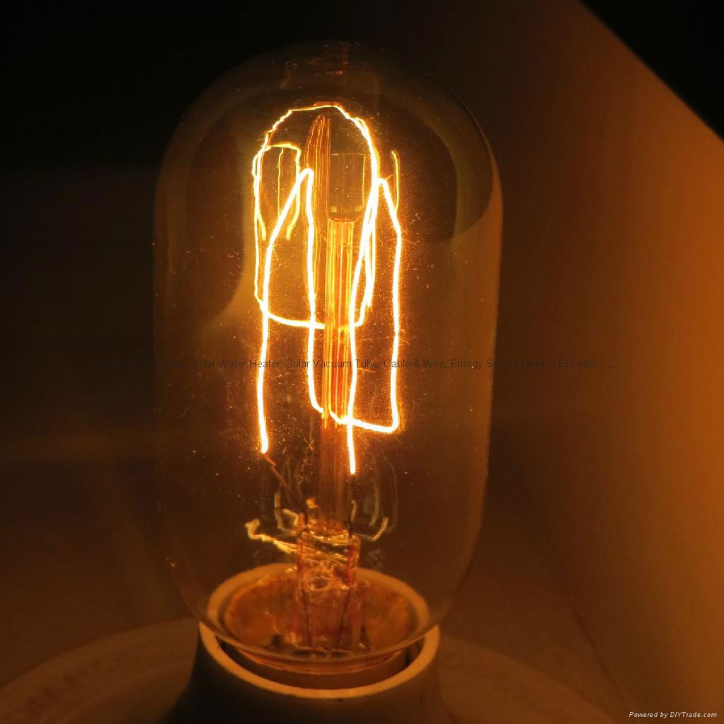 Edison Bulb T45-12 3