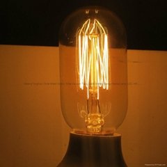 Edison Bulb T45-13