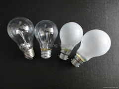 A19 100W Clear Bulb